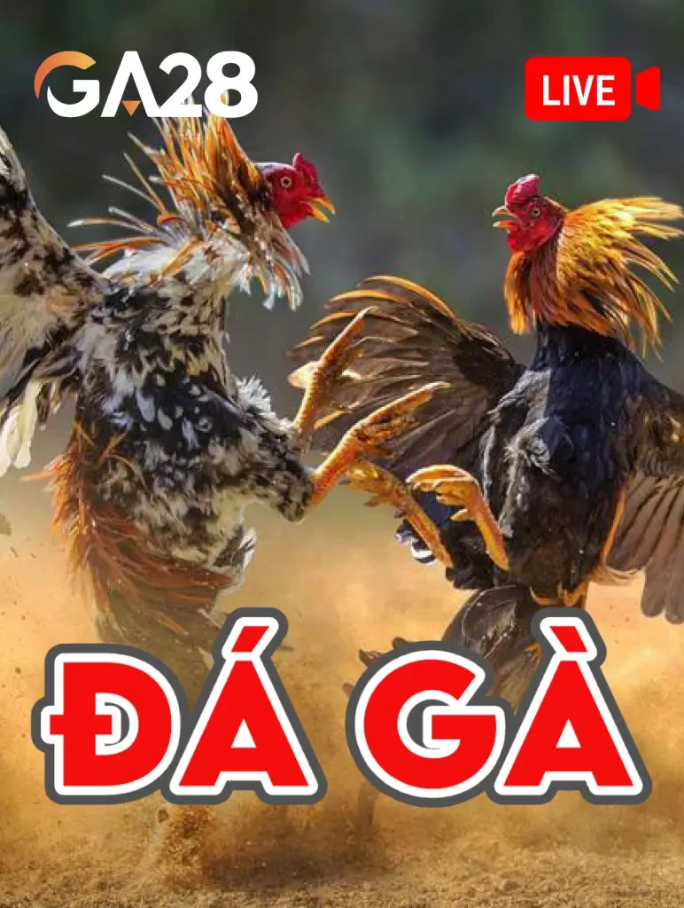 K88 Đá Gà GA28